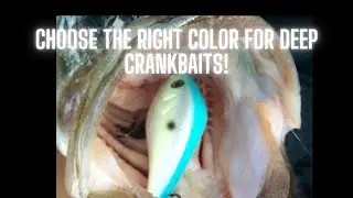 Choosing Deep Crank Bait Colors