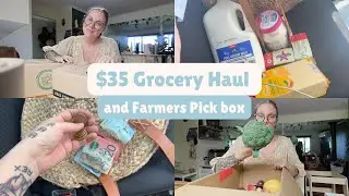 Покупки в Coles на 35 долларов и распаковка товаров из раздела Farmers Pick &mdash; бюджетные продукты.