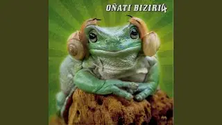 Noiz Arte