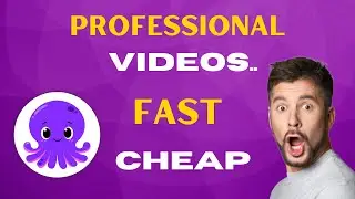 How To Make Professional Videos FAST & CHEAP!