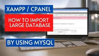 Xampp/Cpanel How to import/export database using MySQL? | Large database import and export