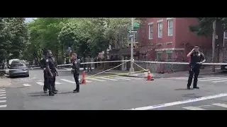 Police on hunt for driver of Honda that allegedly killed Brooklyn man