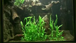 Danmarks Akvarium. Hyggen der forsvandt.