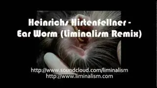 Liminalism versus Heinrichs & Hirtenfellner Ear Worm (remix)