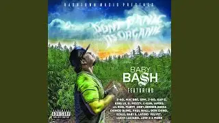 El Pinche (feat. Chingo Bling, Low-G & Juan Gotti)