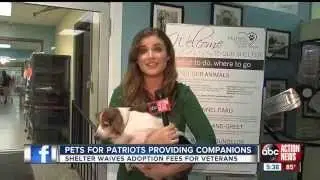 Matching Homeless Pets with Vets