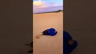#somalia #ciyaalxamar 💥😆😆😆😆
