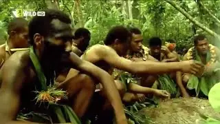 Nat Geo Wild Islands | Fiji (Nature History Documentary)