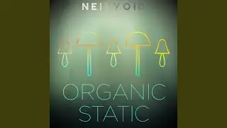 Organic Static