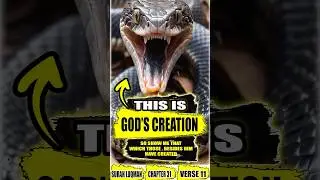 5 Miraculous Snake Adaptations That Reflect Allah&rsquo;s Wisdom