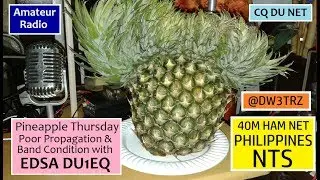 Ham Net PHILIPPINES | Pineapple Thursday w/ Edsa DU1EQ Poor Band Condition | NTS | Ham Radio