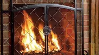 2-Door Celtic Knot Flat Steel Fire Screens And Accessories SKU#11081