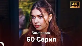 Зимородок 60 Cерия (Русский дубляж) (4K)