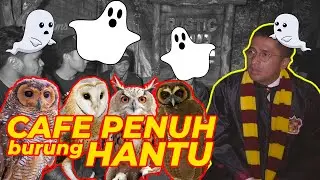 CAFE PENUH burung HANTU DI GEGERKALONG