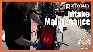 Cleaning my KTM's Rottweiler Intake after 10,000 miles | Back in the Garage