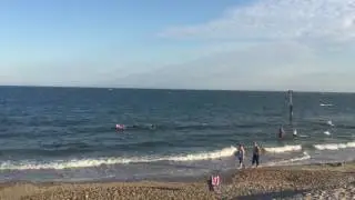 Friars cliff beach - 19th July 2016