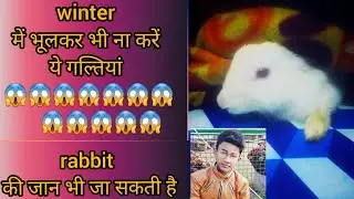6 winter care tips for rabbits 🐇 #petscare   #honeymerabunnychannel