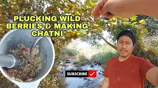 Wild Berry Plucking & Homemade Chutney | Simple Village Life