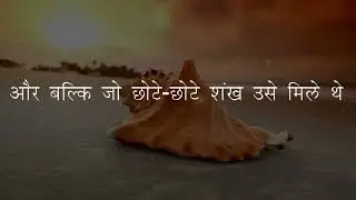 DP Education...