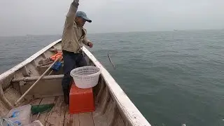 阿雄今天大潮出海放串钩拉鳗鱼啊，个头小价钱高