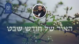 האור של חודש שבט • הרב ראובן ששון