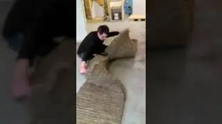 VIDEO0015 1
