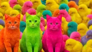 Catch Cute Chickens, colorful chickens, rainbow chickens, cute rabbits, cute ducks, koi fish, Cut...