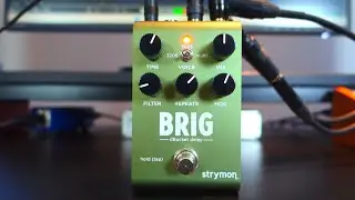 Strymon Brig - 10 Beautiful Sounds (no talking)