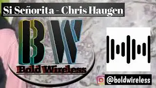 #vlog #nocopyrightmusic #vlognocopyrightmusic BW. Si Señorita - Chris Haugen