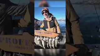 Fishing Lake Tahoe with The Trout Teacher on 12/28/25