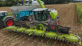 🇫🇷 Nouvelle Claas Jaguar 1100 & Orbis 14 rangs 🤩 - Ensilage 2025🌽