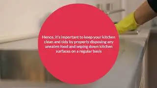Pest Control Company Columbus OH | Bed Bugs Columbus Ohio