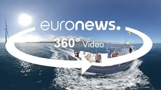 Maritime Raumplanung: Wirtschaftsinteressen und Naturschutz verbinden