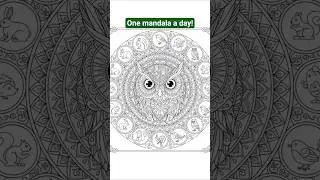 35 Animal Mandala Coloring Pages | Full Flip-Through 🐯🎨 #coloringbook #mandala #adultcolorbook