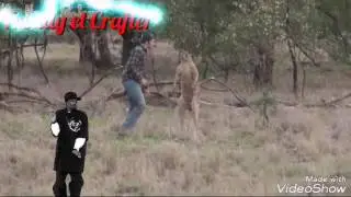 BOOM HEADSHOT.  HOMBRE VS CANGURO :v