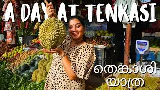 ഒരു ദിവസം കൊണ്ട് തെങ്കാശി കറങ്ങി വന്നാലോ | Tenkasi Travel Vlog