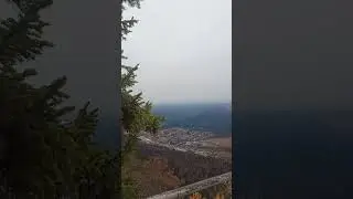 Padurea in culori de toamna, pe Poteca Regala spre Stana Regala si Stancile Franz Josef 3.nov.24 #15