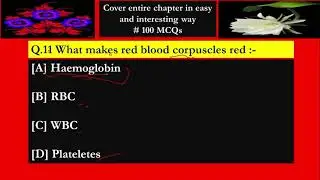 What Makes Red Blood Corpuscles Red Class 10