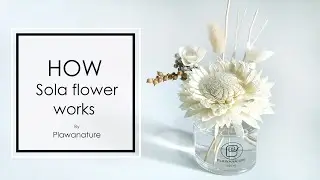 How Sola Flower work?