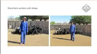 CHARITY PROJECTS IN NAMIBIA