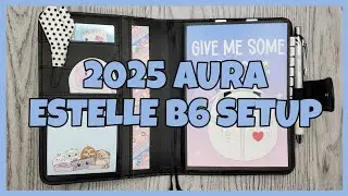 Настройка моей кофемашины Aura Estelle B6 Classic Daily 2025 года выпуска.