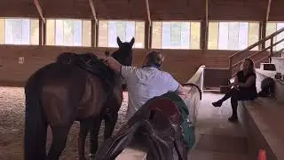 Saddle fitting demonstration with Patrick Ennis of Devoucoux Saddles for Norfolk Hunt Pony Club