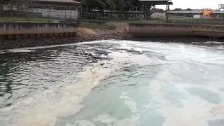 Eurolube F3080 Oil Spill Dispersant Water Based Experiment