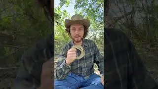 Making a rawhide bowstring Part 1 #outdoors #bushcraft #primitive #survival #camping #archery
