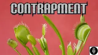 2BG Friday Night Smoke Sesh - Season 4 - Contrapment