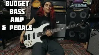 Budget Bass Setup (With Pedalboard)