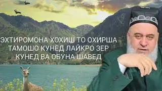 Хочи Мирзо 2022 Саволу Чавоб 6 Марта