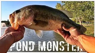 I Went Fishing With Live Bait... And Hooked A Giant!