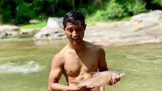 Ikan kelah (golden mahseer) trip kampar to sungai singgor royal belum. #faktakeauta