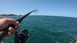 Hot day on rocks